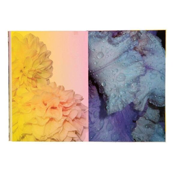 New Christian Lacroix The Art Series Catherine Larre A5 Notebook Journal 128 pgs - Picture 16 of 16